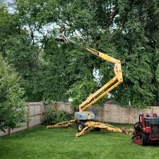 Best Lot and Land Clearing  in Le Grand, CA