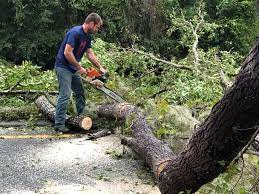 Best Hazardous Tree Removal  in Le Grand, CA