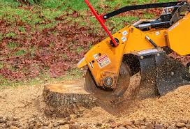 Best Leaf Removal  in Le Grand, CA