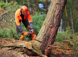 Best Lawn Pest Prevention  in Le Grand, CA