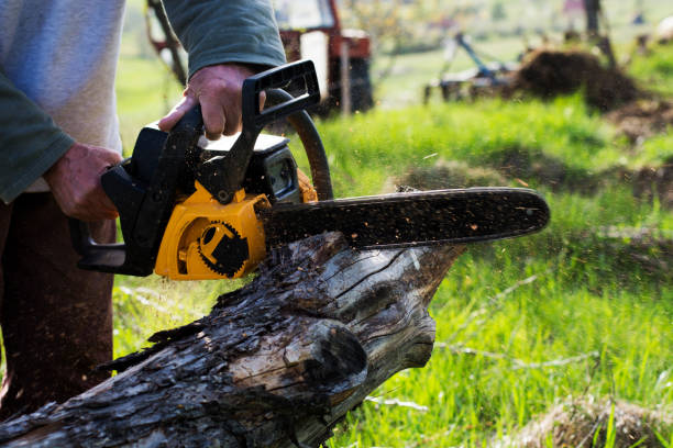 Best Seasonal Cleanup (Spring/Fall)  in Le Grand, CA
